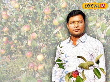 অধ্যাপক