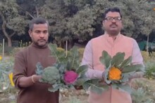 Malda News: হলুদ-সবুজ-বেগুনি-সাদা নানা রঙের ফুলকপি! স্বাদে-গুনে ভরপুর কোথায় পাবেন জেনে নিন