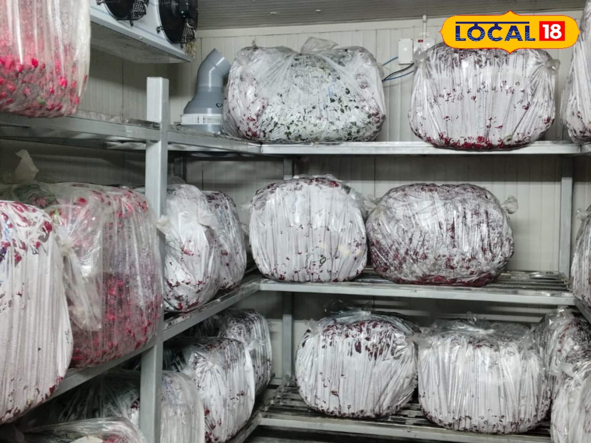 হিমঘরে সংরক্ষিত ভালবাসার 'প্রতীক'! তাজা গোলাপের সুগন্ধে ভরে উঠুক এবারের ভ্যালেন্টাইন্স ডে হিমঘরে সংরক্ষিত ভালবাসার 'প্রতীক'! তাজা গোলাপের সুগন্ধে ভরে উঠুক এবারের ভ্যালেন্টাইন্স ডে