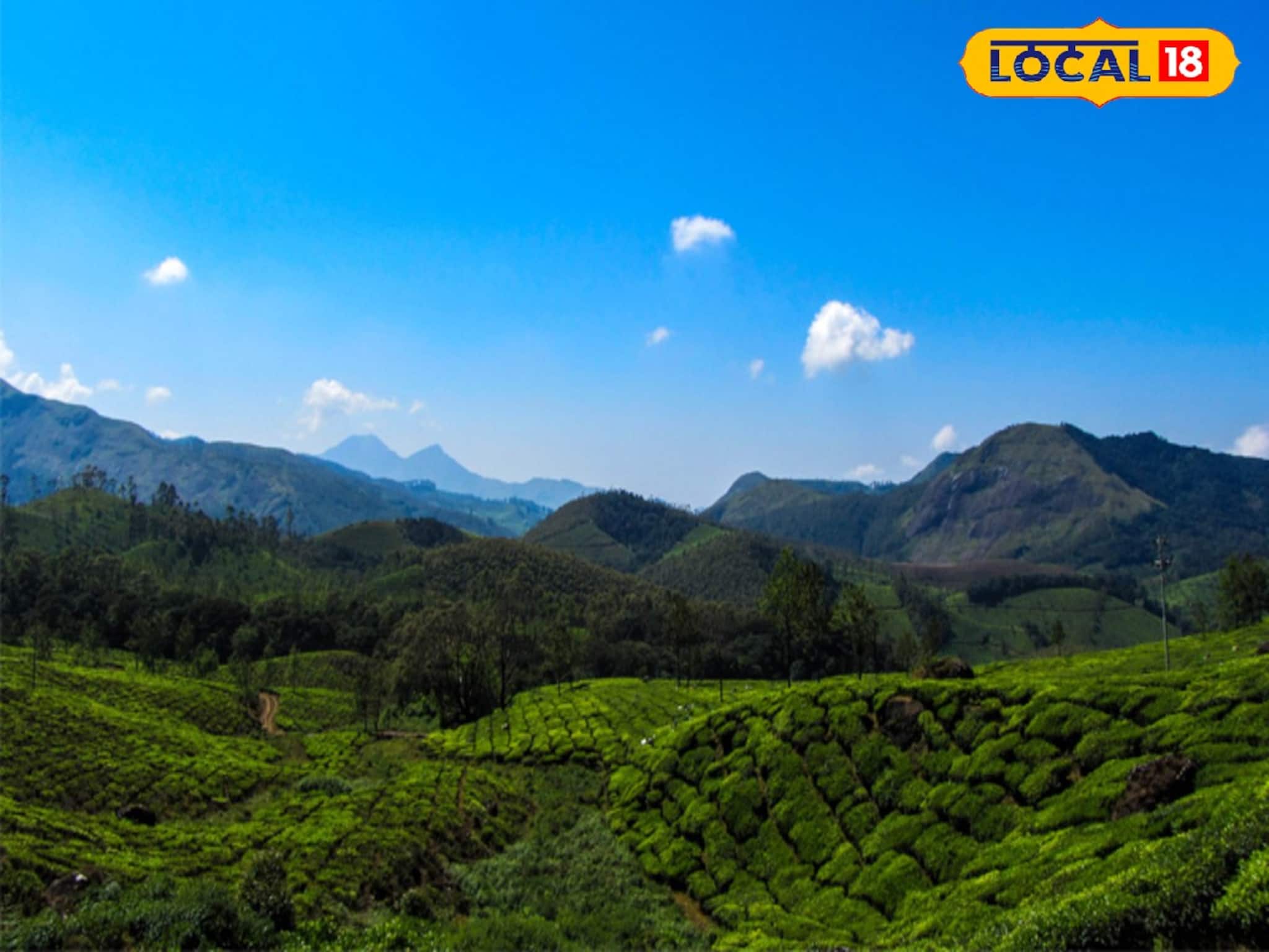 Darjeeling Offbeat Destination: পাহাড়ি চা বাগানের ঢালে ১৫০ বছরের পুরনো বাংলো! শিলিগুড়ি থেকে ঘণ্টা দেড়েকের পথ, নিরিবিলিতে উইকেন্ড ট্রিপের সেরা ডেস্টিনেশন