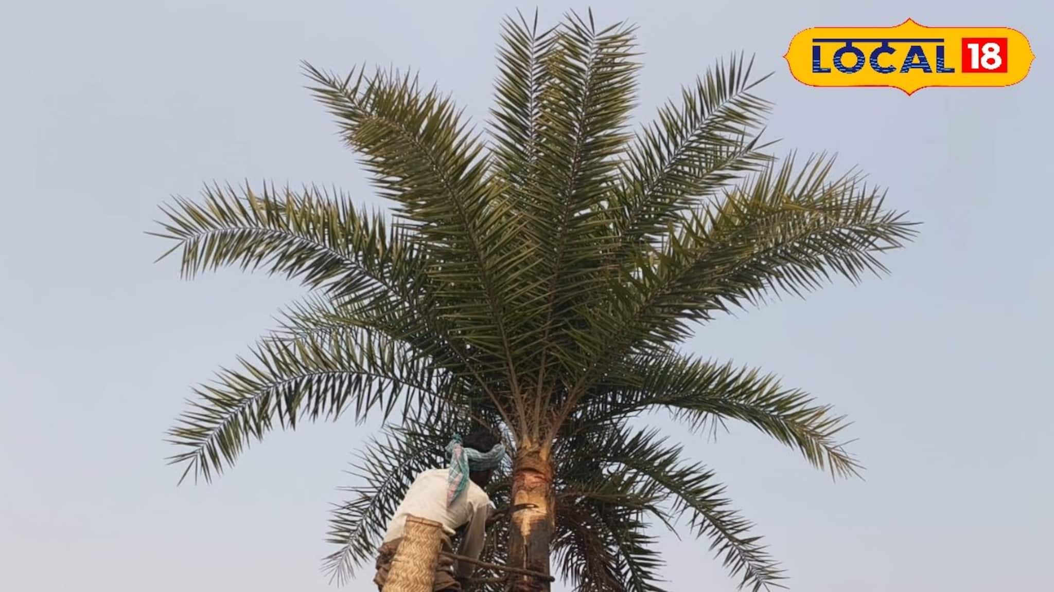 Purulia News: শীত শেষে জঙ্গলমহল ছাড়ছেন শিউলিরা, খেজুর রসের স্মৃতি বুকে নিজের ঠিকানায় ফেরার স্বস্তি, অপেক্ষায় প্রিয়জনরা