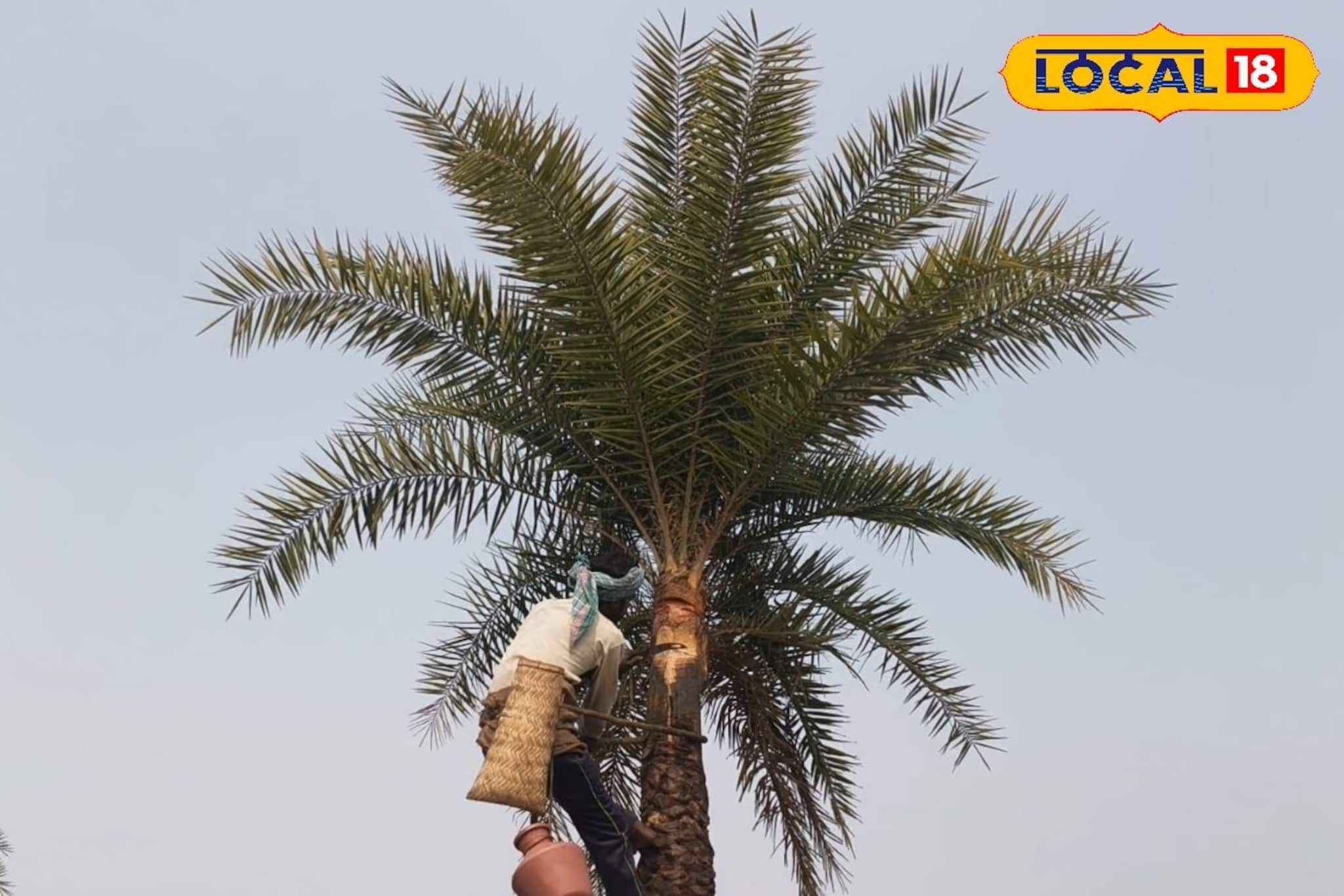 শীত শেষে জঙ্গলমহল ছাড়ছেন শিউলিরা, খেজুর রসের স্মৃতি বুকে নিজের ঠিকানায় ফেরার স্বস্তি শীত শেষে জঙ্গলমহল ছাড়ছেন শিউলিরা, খেজুর রসের স্মৃতি বুকে নিজের ঠিকানায় ফেরার স্বস্তি