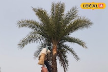 Purulia News: শীত শেষে জঙ্গলমহল ছাড়ছেন শিউলিরা, খেজুর রসের স্মৃতি বুকে নিজের ঠিকানায় ফেরার স্বস্তি, অপেক্ষায় প্রিয়জনরা