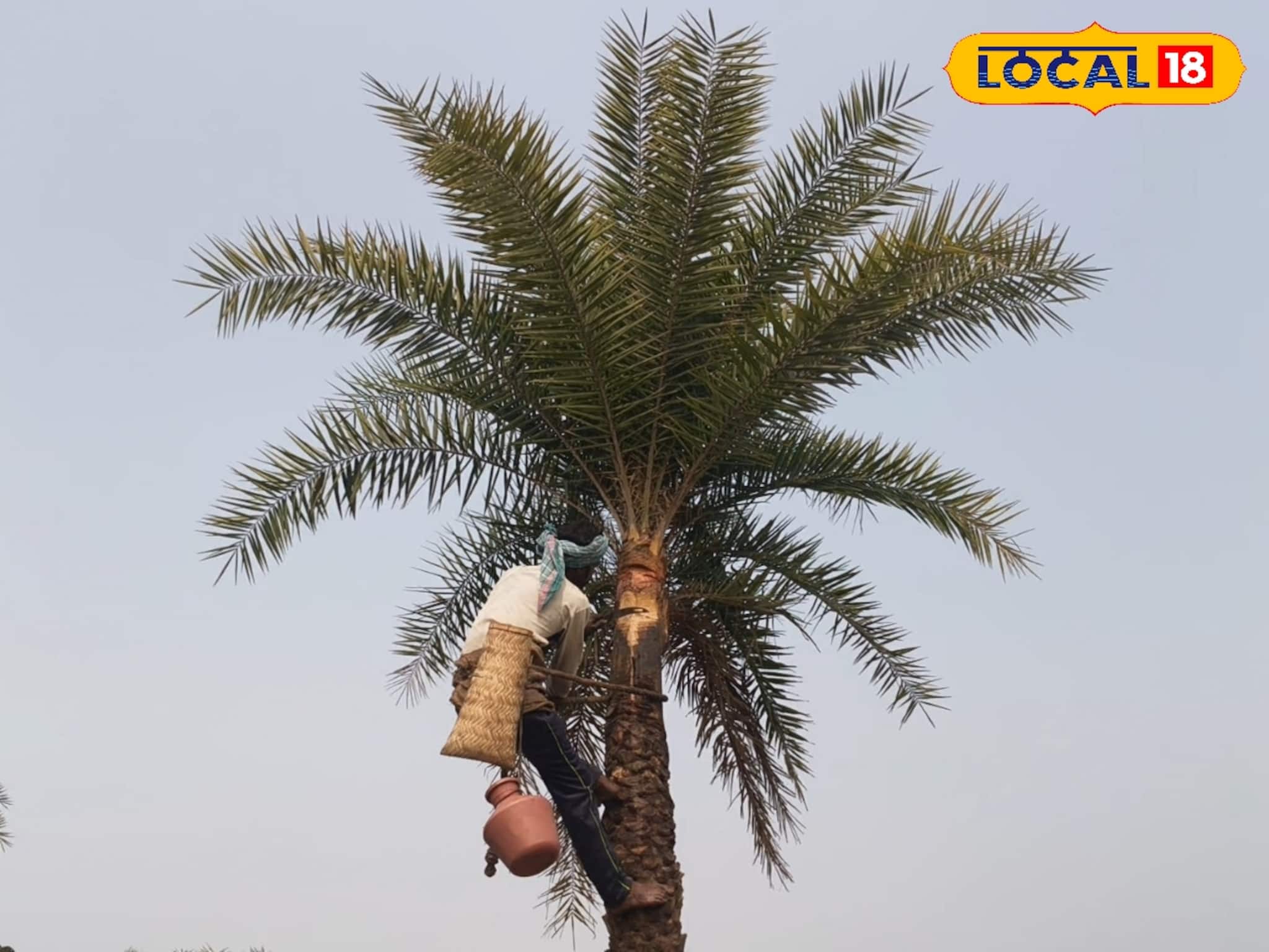 শীত শেষে জঙ্গলমহল ছাড়ছেন শিউলিরা, খেজুর রসের স্মৃতি বুকে নিজের ঠিকানায় ফেরার স্বস্তি