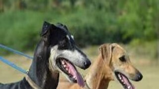 প্রতীকী ছবি