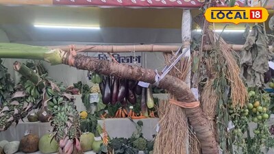 ১০ ফুট লম্বা মানকচু