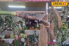 East Bardhaman News: লম্বায় প্রায় ১০ ফুট! বর্ধমানের সবজি স্টলে দৈত্যাকার মানকচু, সাইজ দেখেই হাঁ সবাই