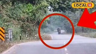 ডুয়ার্সের চাপড়ামারি জঙ্গলের রাস্তায়