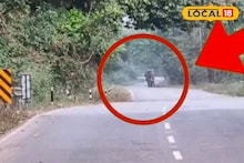 Elephant News: সকাল থেকে রাস্তায় দাঁড়িয়ে গজরাজ! চাপড়ামারিতে দীর্ঘক্ষণ বন্ধ সড়ক ও রেলপথ, তবু ছবি-ভিডিওতে বিরাম নেই পর্যটকদের