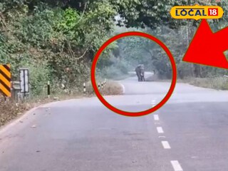 ডুয়ার্সের চাপড়ামারি জঙ্গলের রাস্তায়