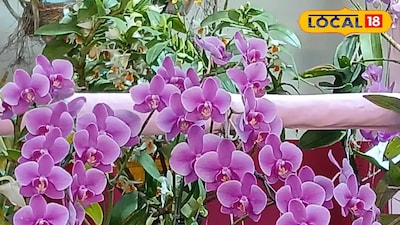 হাওড়া ফুল মেলা