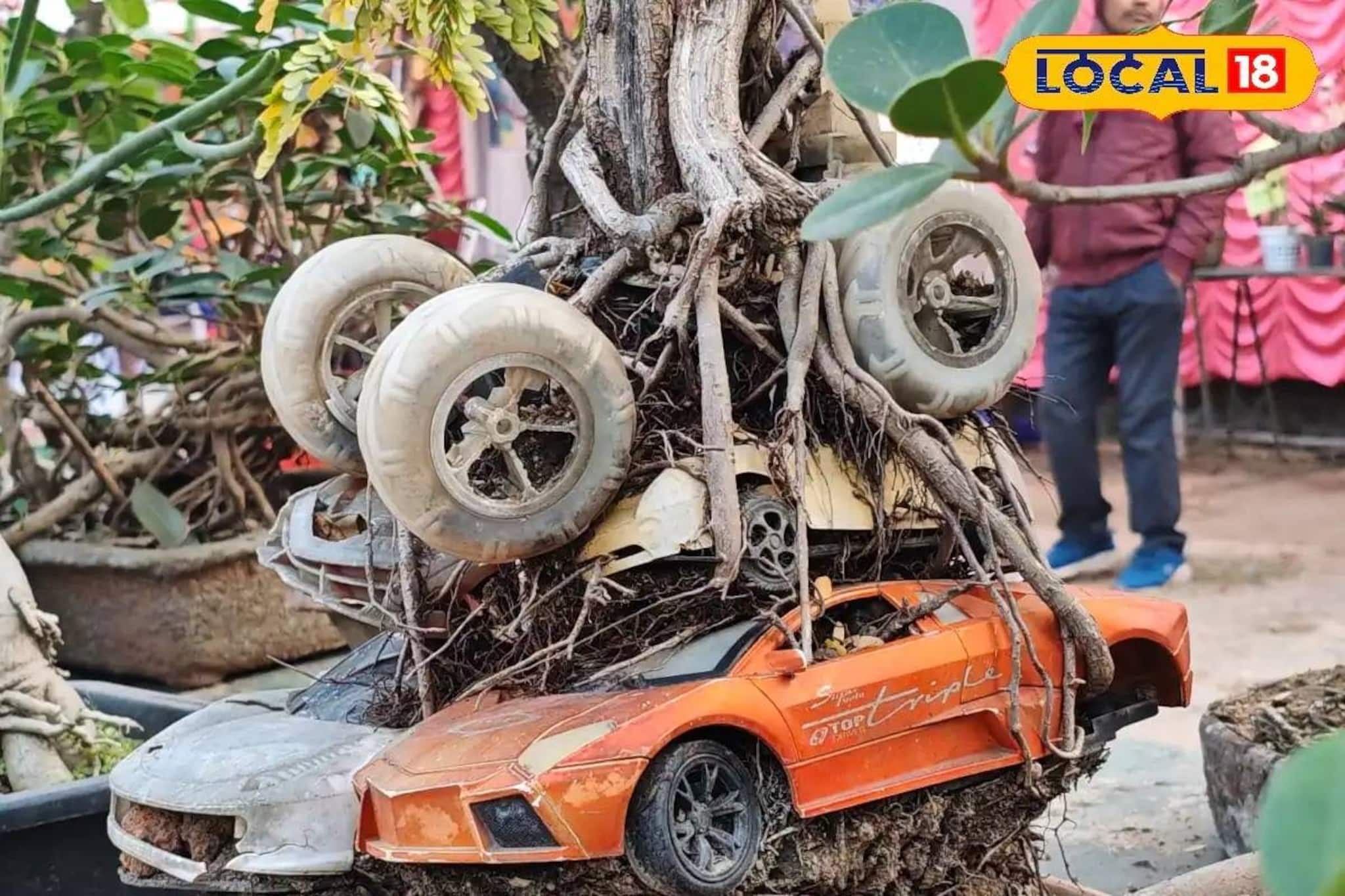 গাছের গোড়ায় ল্যাম্বরগিনি! গাড়ি দেখে থমকে যাচ্ছেন দর্শনার্থীরা