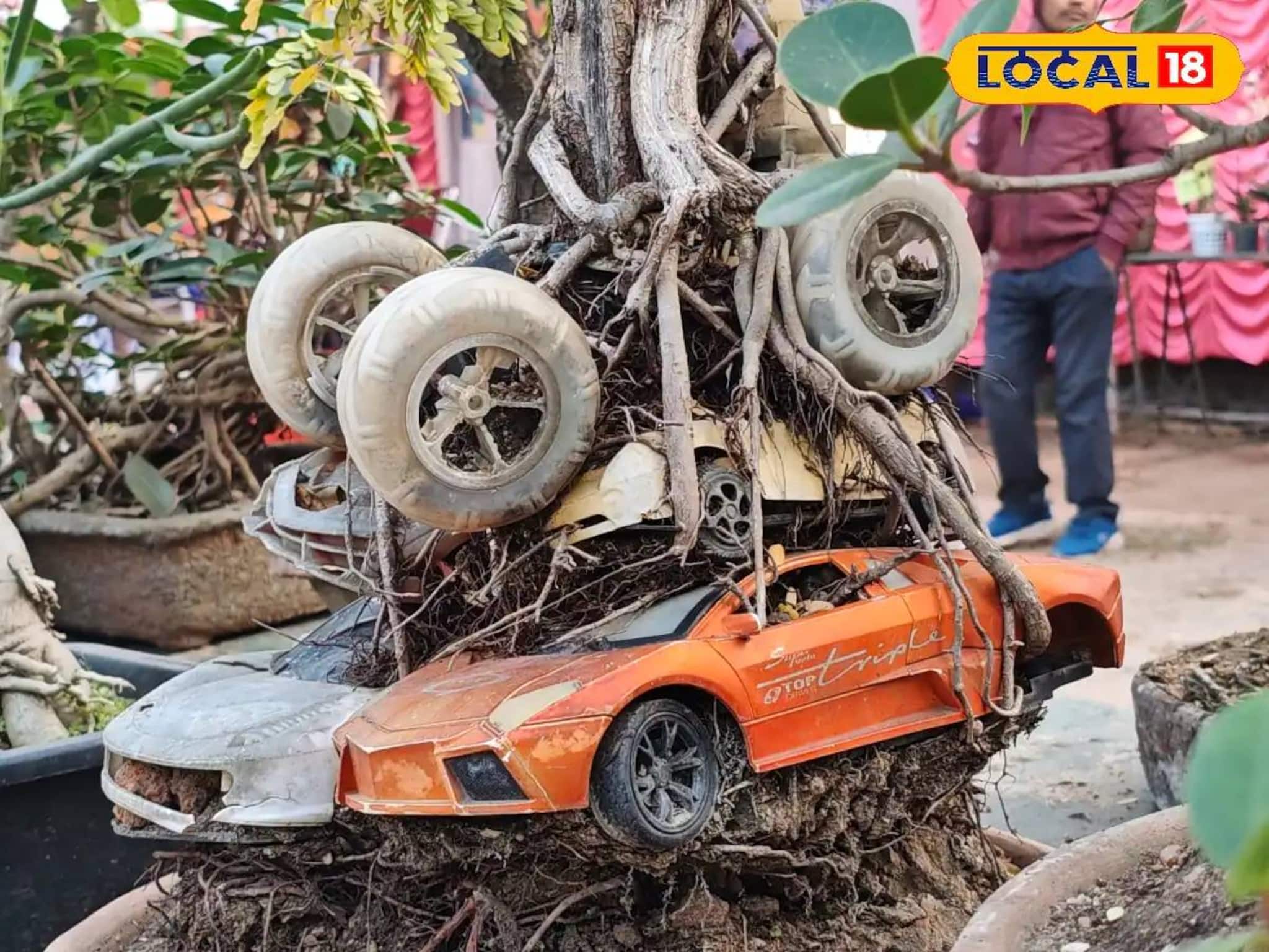 গাছের গোড়ায় ল্যাম্বরগিনি! গাড়ি দেখে থমকে যাচ্ছেন দর্শনার্থীরা