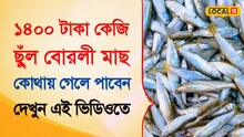 ১৪০০ টাকা কেজি ছুঁল বোরলি মাছ! কোথায় গেলে পাবেন? দেখুন এই ভিডিওতে