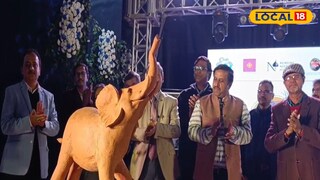 উত্তরবঙ্গ দিয়ে শুরু হল গজ উৎসব উত্তরবঙ্গ দিয়ে শুরু হল গজ উৎসব