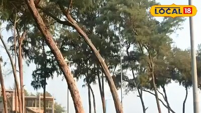 দিঘার ঝাউবন