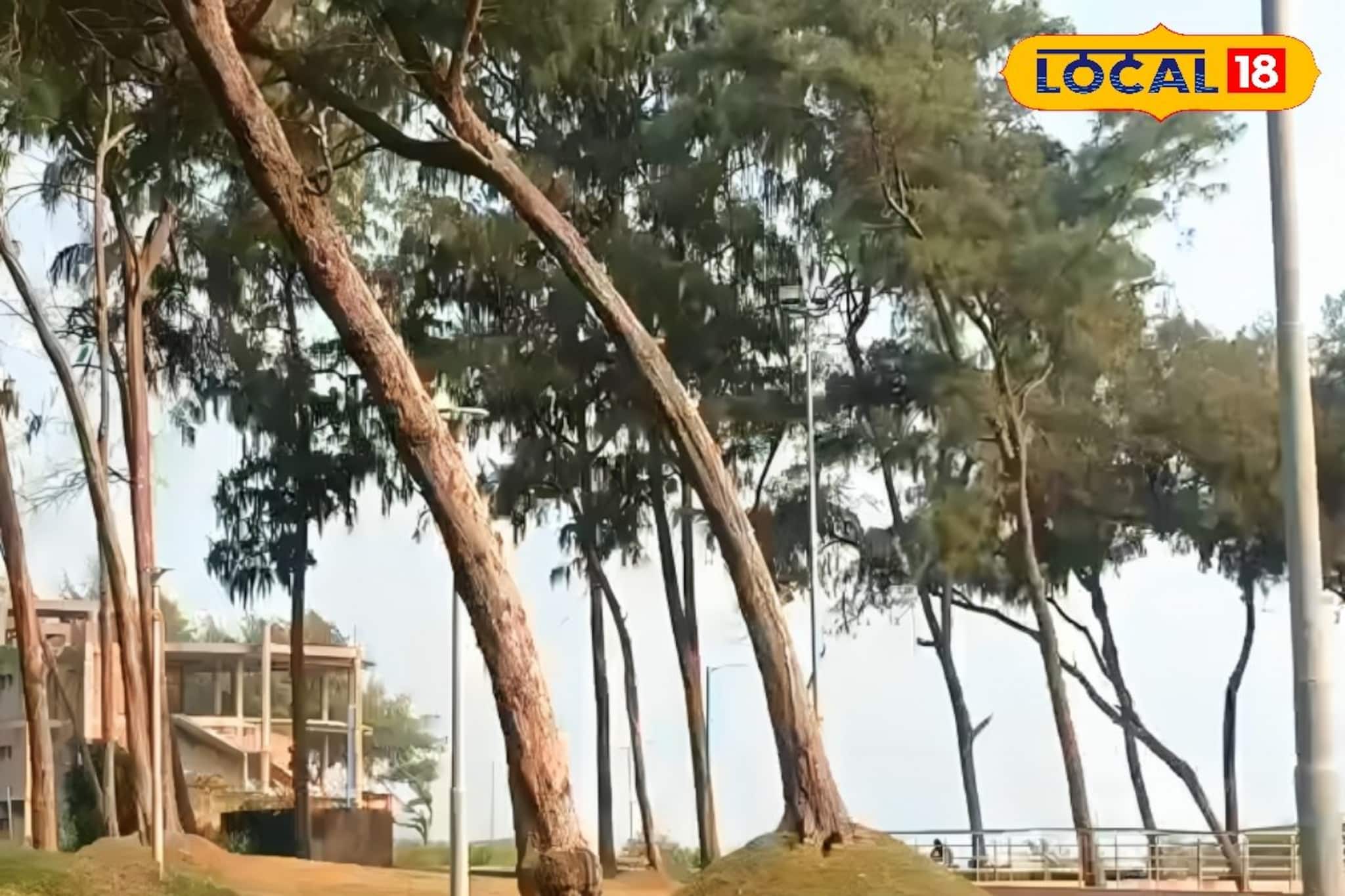 বর্ষবরণে দিঘায় পিকনিকের প্ল্যান? খবরদার...! এই ভুল নয়, মানতে হবে কড়া নিয়ম,না হলেই বিপদ