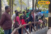 Siliguri Tourism: নতুন বছরের প্রথম দিনে উৎসবের রঙে শিলিগুড়ি, পর্যটকদের ভিড়ে জমজমাট বেঙ্গল সাফারি পার্ক