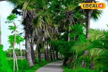 Winter Tourism: এই শীতে চোখ জুড়বে, মনও হবে ভাল! বছরের শুরুতে ঘুরে আসুন বীরেশ্বরপুরে