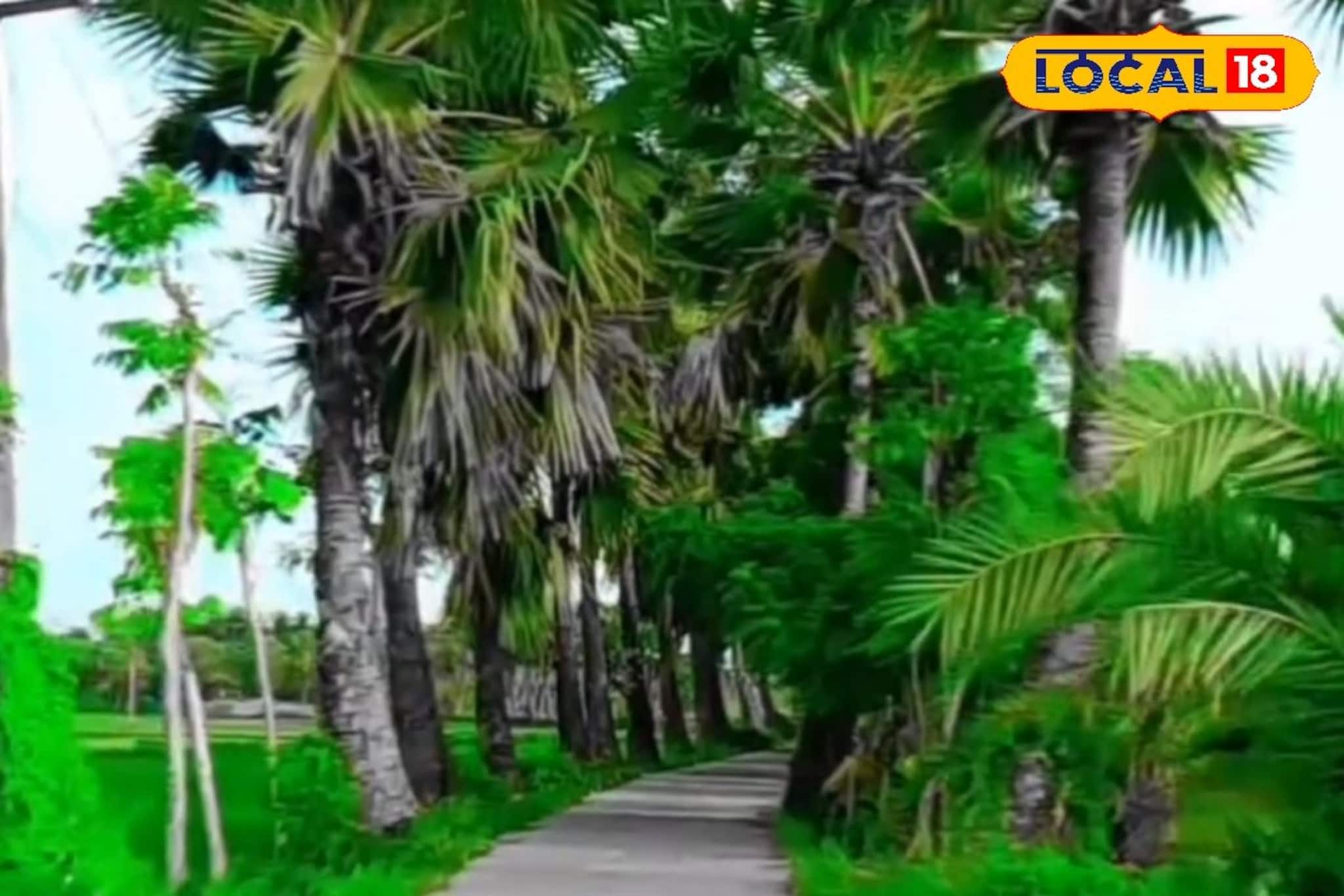 এই শীতে চোখ জুড়বে, মনও হবে ভাল! বছরের শুরুতে ঘুরে আসুন বীরেশ্বরপুরে এই শীতে চোখ জুড়বে, মনও হবে ভাল! বছরের শুরুতে ঘুরে আসুন বীরেশ্বরপুরে