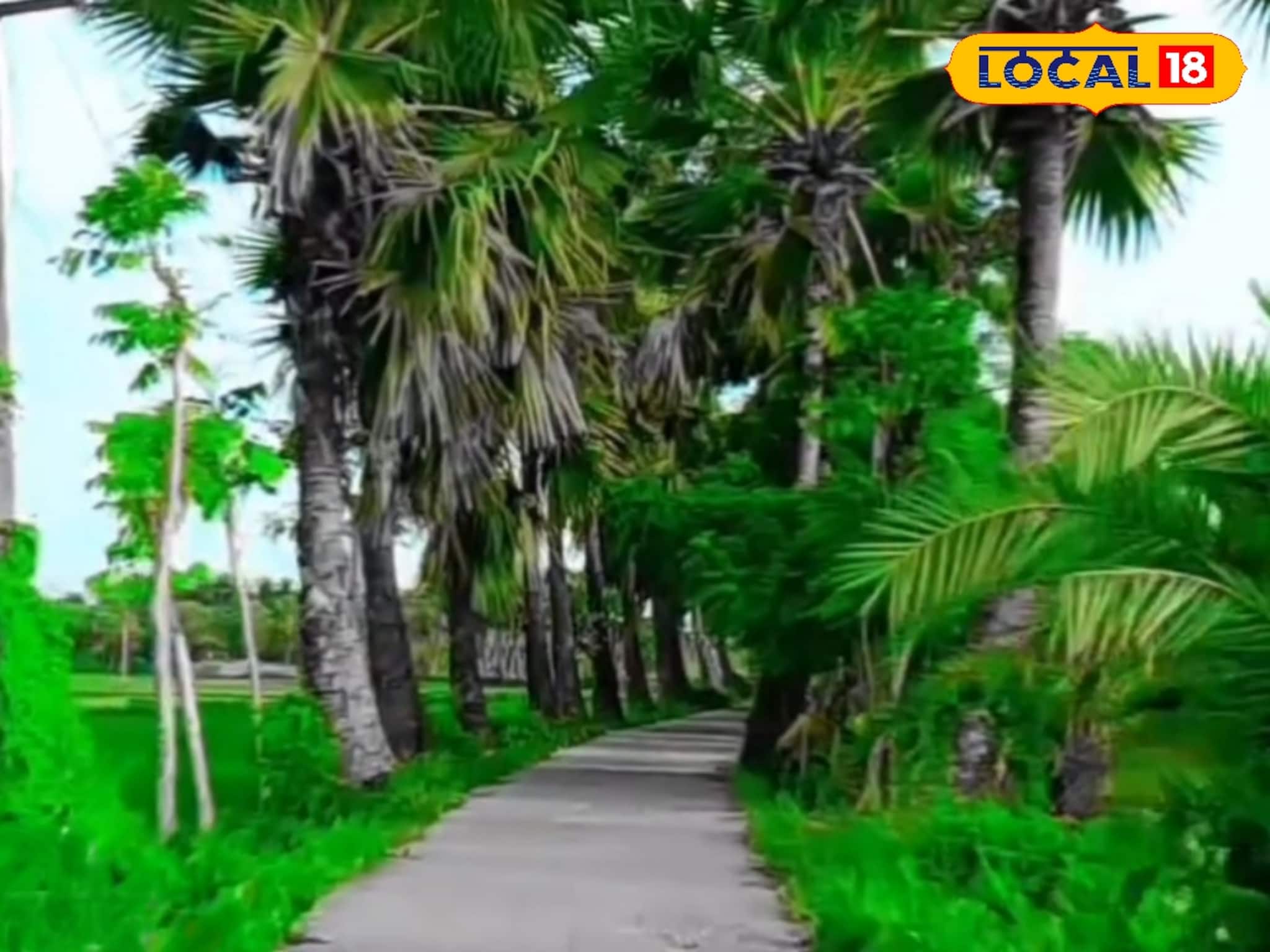 এই শীতে চোখ জুড়বে, মনও হবে ভাল! বছরের শুরুতে ঘুরে আসুন বীরেশ্বরপুরে