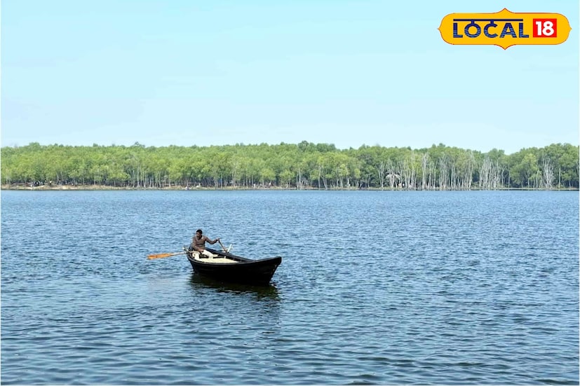 সুন্দরবনের রোমাঞ্চ মানেই এতদিন দক্ষিণবঙ্গের গহিন অরণ্য, কিন্তু সেই অনুভূতির স্বাদ এবার মিলতে পারে পশ্চিমের জেলা পুরুলিয়াতেই! শুনতে অবাক লাগলেও এটাই সত্যি। পুরুলিয়া জেলার কাশীপুর ব্লকের রঞ্জনডি জলাধার, যা যোগমায়া সরোবর নামেও পরিচিত, এখন পর্যটকদের কাছে জনপ্রিয় হয়ে উঠেছে ‘পুরুলিয়ার মিনি সুন্দরবন’ নামে। নতুন বছরের ছুটিতে নতুন অভিজ্ঞতার খোঁজে থাকলে, পুরুলিয়ার এই ‘মিনি সুন্দরবন’ আপনাকে নিরাশ করবে না। (ছবি ও তথ্য: শান্তনু দাস)