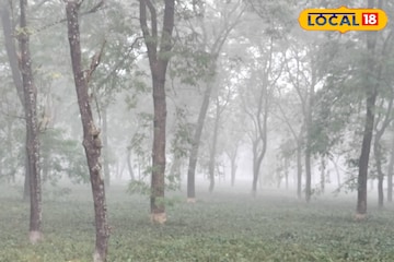 কলকাতায় সামান্য বাড়বে পারদ! উত্তরের পাহাড়ে তুষারপাত! শহরে ফের জাঁকিয়ে ঠাণ্ডা কবে থেকে? কলকাতায় সামান্য বাড়বে পারদ! উত্তরের পাহাড়ে তুষারপাত! শহরে ফের জাঁকিয়ে ঠাণ্ডা কবে থেকে?