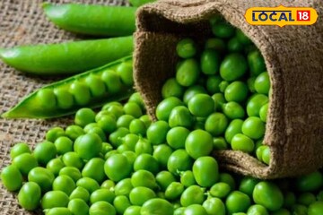 শীতে মটরশুঁটি কিনে বাড়িতেই সংরক্ষণ করুন 'এভাবে', সারা বছর থাকবে সবুজ, ফ্রেশ! স্বাদও অটুট