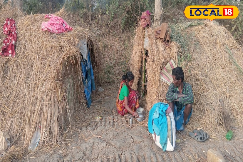 কনকনে ঠান্ডায় জুবুথুবু আট থেকে আশি। রাত নামলেই ঘন কুয়াশার চাদরে ঢেকে যায় রাস্তাঘাট ও মাঠঘাট। তবে শীতের দিনেও জীবনের লড়াইয়ে কোনও ছাড় নেই। পূর্ব বর্ধমান জেলার কেতুগ্রামের শিবলুন এলাকার বিস্তীর্ণ মাঠ জুড়ে খড়ের অস্থায়ী কুঁড়েঘর করে দিন কাটাচ্ছেন ভিন জেলা থেকে আসা বহু পরিবার। মাঠে পড়ে থাকা ধানের শীষ কুড়িয়েই তাঁদের রুজি-রোজগার। সেই ধান বিক্রি করেই কোনওরকমে চলে সংসার। (তথ্য ও ছবি: বনোয়ারীলাল চৌধুরী)