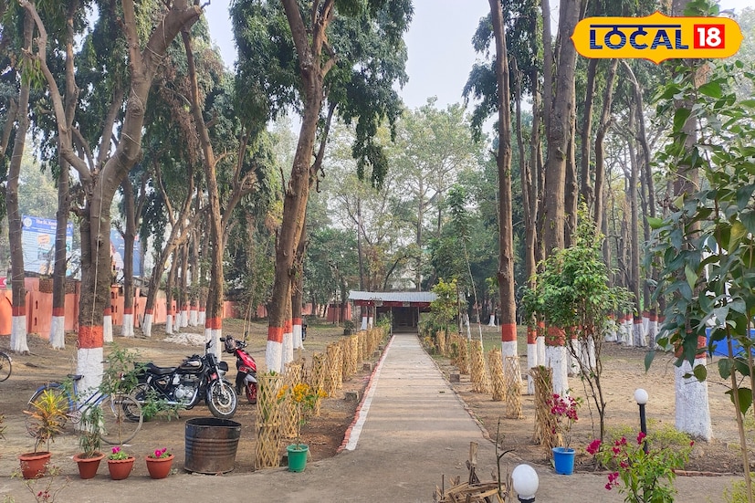 দূরে নয় শহরের বুকে রয়েছে অসাধারণ সুন্দর এই পিকনিক স্পট। সঙ্গীকে নিয়ে একান্ত সময় কাটান থেকে বন্ধুদের নিয়ে আনন্দ উল্লাস। সব‌ই হবে এবার শহরের বুকে।(ছবি ও তথ্য: জিএম মোমিন)