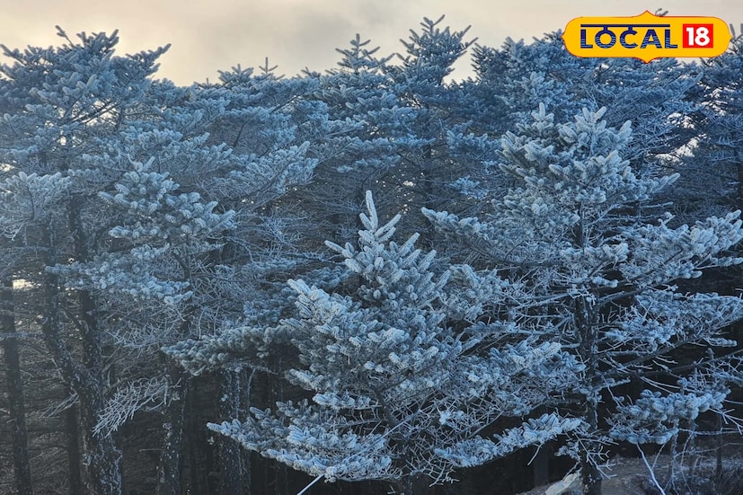 সিকিম, ঋত্বিক ভট্টাচার্য : রবিবারের সকালে শীতের আবহে বাড়তি আনন্দ নিয়ে এল তুষারপাত। আজ নাথুলা ও শেরাথাং এলাকায় নতুন করে বরফ পড়া শুরু হয়েছে। সকাল থেকেই হালকা থেকে মাঝারি তুষারপাত দেখা যায়, যার ফলে সীমান্তবর্তী এই উচ্চ পার্বত্য অঞ্চলে শীতের দাপট আরও বেড়েছে।