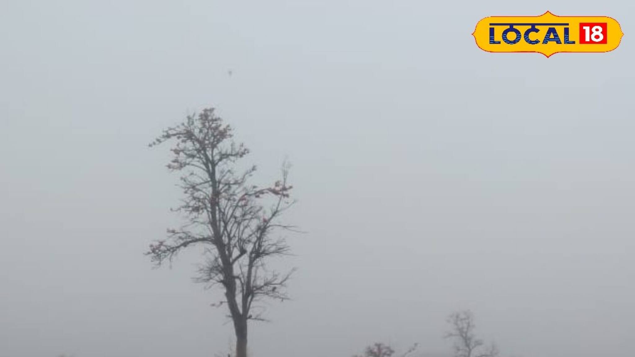 Severe Cold Alert:  বাংলার জেলার পর জেলায় কোল্ডওয়েভ অ্যালার্ট, দেখুন ওয়েদার আপডেট