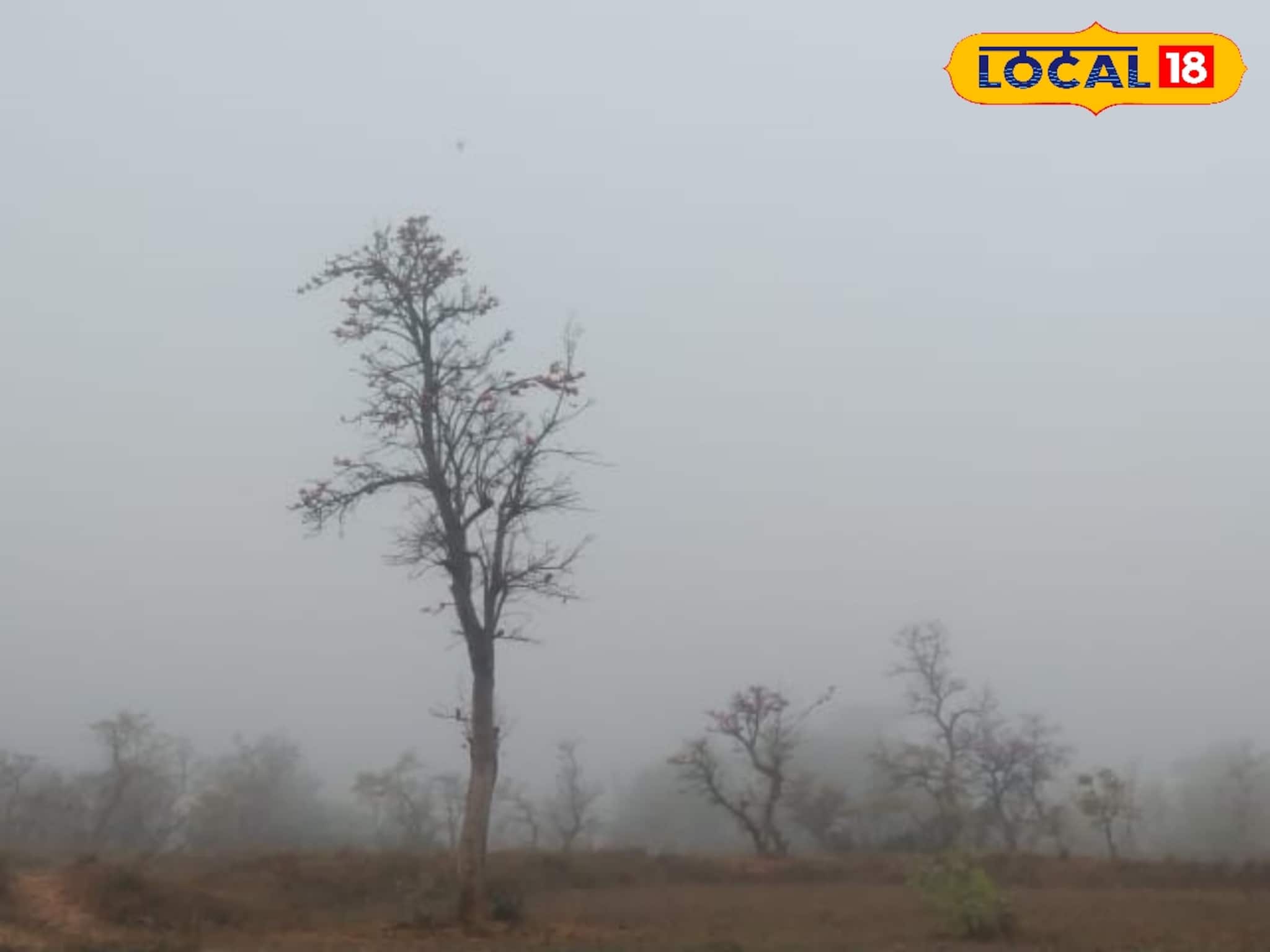 Severe Cold Alert: বাংলার জেলার পর জেলায় কোল্ডওয়েভ অ্যালার্ট, দেখুন ওয়েদার আপডেট Severe Cold Alert: বাংলার জেলার পর জেলায় কোল্ডওয়েভ অ্যালার্ট, দেখুন ওয়েদার আপডেট