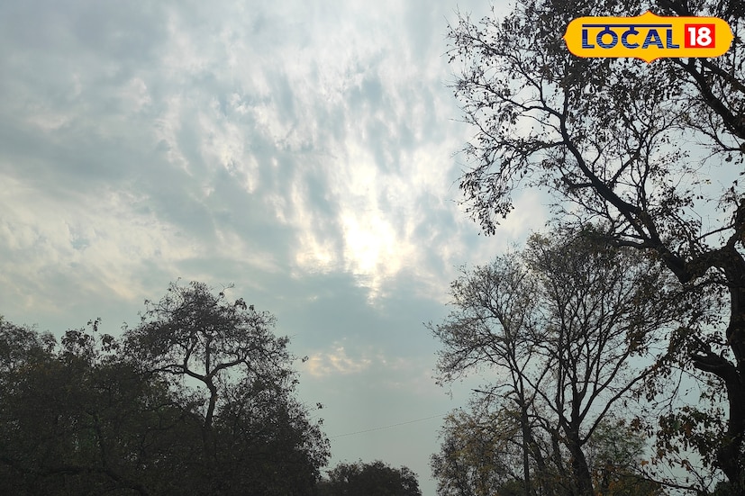 পুরুলিয়া, শর্মিষ্ঠা ব্যানার্জি: বিগত দিনে শীতের দাপট বেশ খানিকটা কম ছিল বঙ্গ জুড়ে। কিন্তু আবারও হাড় কাঁপানো শীতের অনুভূতি শুরু হয়েছে। পশ্চিমী ঝঞ্ঝার দাপট কাটিয়ে ফিরেছে শীত। দক্ষিণের প্রায় সব জেলাতেই তাপমাত্রার পারদ নিম্নমুখী হতে চলেছে বলে পূর্বাভাস মিলেছে। পুরুলিয়া, শর্মিষ্ঠা ব্যানার্জি: বিগত দিনে শীতের দাপট বেশ খানিকটা কম ছিল বঙ্গ জুড়ে। কিন্তু আবারও হাড় কাঁপানো শীতের অনুভূতি শুরু হয়েছে। পশ্চিমী ঝঞ্ঝার দাপট কাটিয়ে ফিরেছে শীত। দক্ষিণের প্রায় সব জেলাতেই তাপমাত্রার পারদ নিম্নমুখী হতে চলেছে বলে পূর্বাভাস মিলেছে।