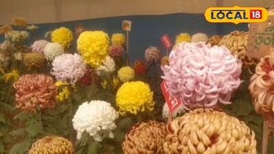 ফুলের শহর এখন জিয়াগঞ্জ 