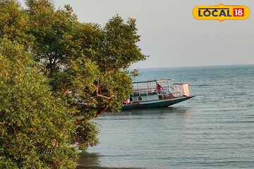 ফিটনেস টেস্টে পাশ সুন্দরবনের অধিকাংশ বোট, পর্যটক বাড়ছে না কমছে? বহাল ধোঁয়াশা