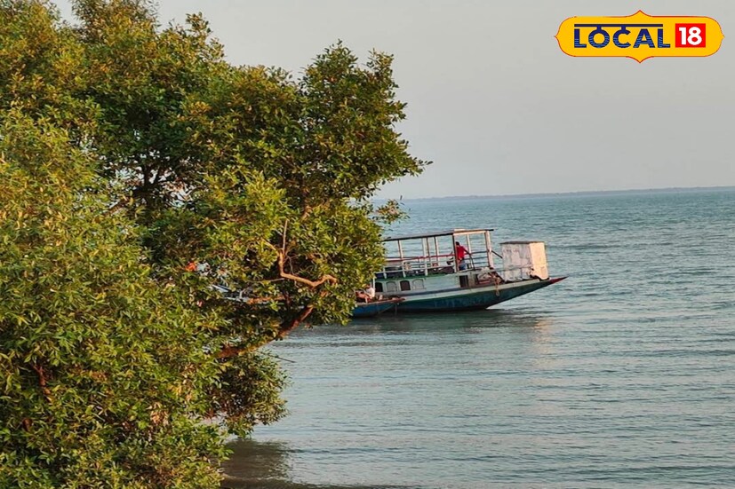 ফিটনেস টেস্টে পাশ করল সুন্দরবনের অধিকাংশ ট্যুরিস্ট বোট। ৬৩৪ টি বোট পরীক্ষা করা হয়েছে। তার মধ্যে অনুত্তীর্ণ কেবল পাঁচটি বোট। আরও পাঁচটির ফলপ্রকাশ এখনও হয়নি।