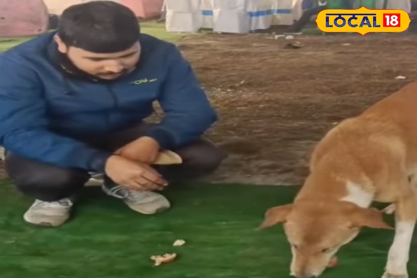 বিশ্ব ডুয়ার্স উৎসবে মানবিক ছবি। স্টলের বেঁচে যাওয়া খাবার পথকুকুরদের মধ্যে ভাগ করে দিলেন দোকানের ব্যবসায়ীরা। তাঁদের দেখে খাবার খেতে আসা মানুষেরাও এগিয়ে দিলেন সাহায্যের হাত। (ছবি ও তথ্যঃ অনন্যা দে)