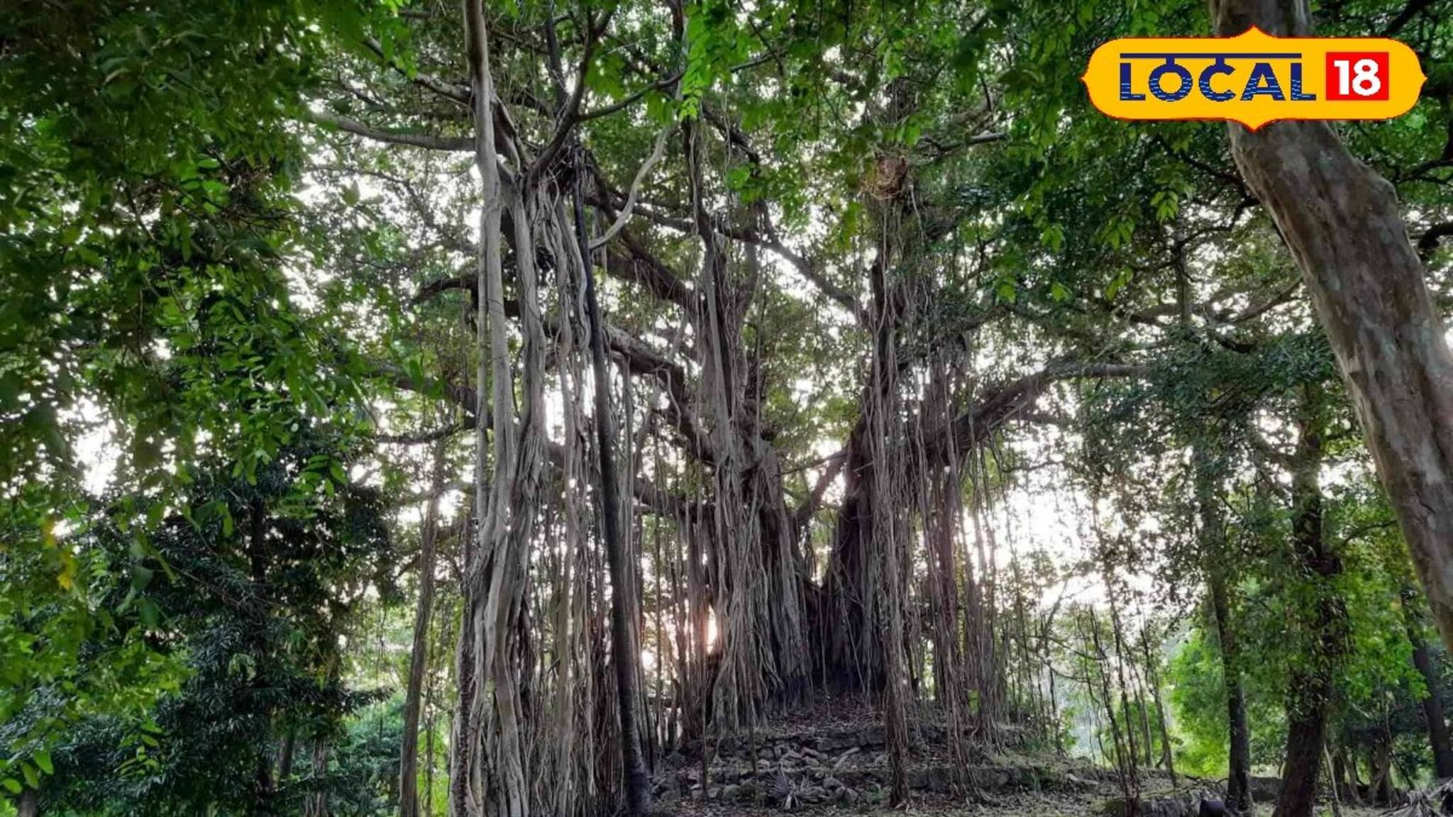 Weekend Trip: হাতে দু-একদিনের ছুটিতে অনেকবার পাহাড়ে গিয়েছেন, তবে বোলপুরের 'এই' পাহাড় দেখেছেন কখনও! রইল ঠিকানা
