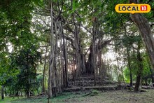 Weekend Trip: হাতে দু-একদিনের ছুটিতে অনেকবার পাহাড়ে গিয়েছেন, তবে বোলপুরের 'এই' পাহাড় দেখেছেন কখনও! রইল ঠিকানা