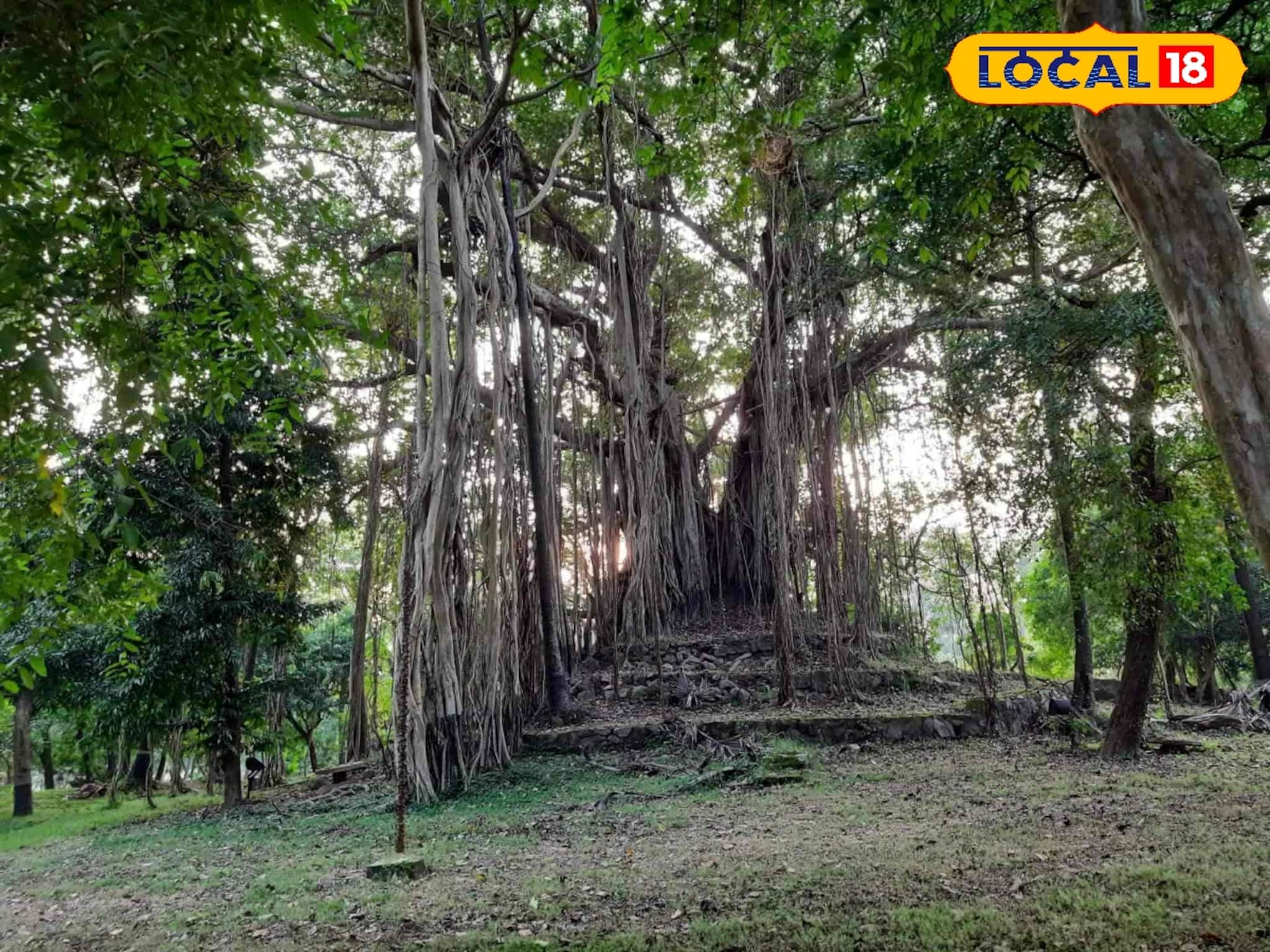হাতে দু-একদিনের ছুটিতে অনেকবার পাহাড়ে গিয়েছেন,তবে বোলপুরের 'এই' পাহাড় দেখেছেন কখনও?জানুন হাতে দু-একদিনের ছুটিতে অনেকবার পাহাড়ে গিয়েছেন,তবে বোলপুরের 'এই' পাহাড় দেখেছেন কখনও?জানুন