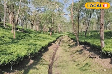 অভিষেকের উত্তরবঙ্গ সফরের পরেই খুলল সুবর্ণপুর চা বাগান! ৪ মাস পর কাটল বোনাসের জট অভিষেকের উত্তরবঙ্গ সফরের পরেই খুলল সুবর্ণপুর চা বাগান! ৪ মাস পর কাটল বোনাসের জট