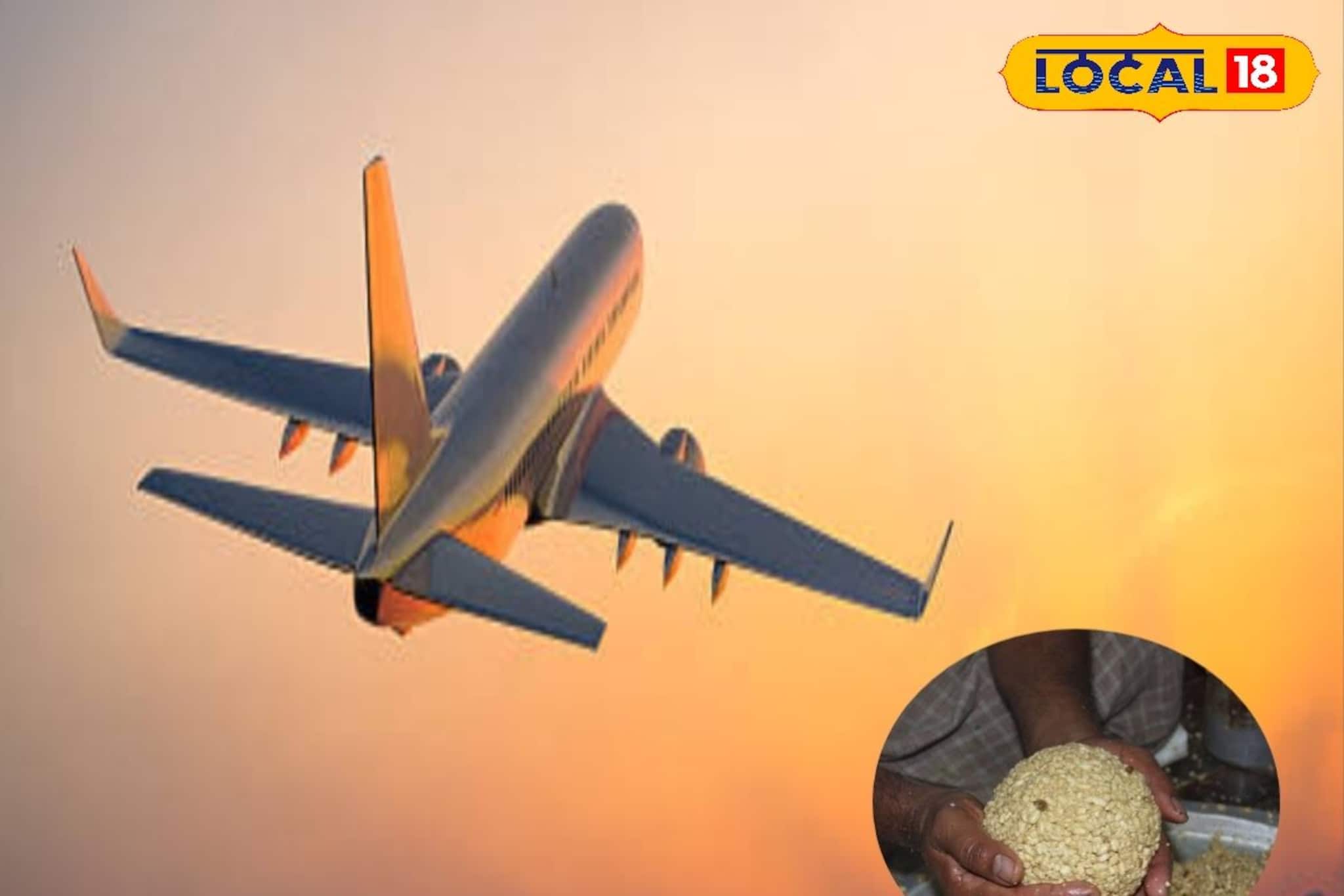 ৫০ কেজি জয়নগরের মোয়া চলল বিদেশে! সুইডেন, মালয়েশিয়ার পরে এবার কোথায় জানেন?