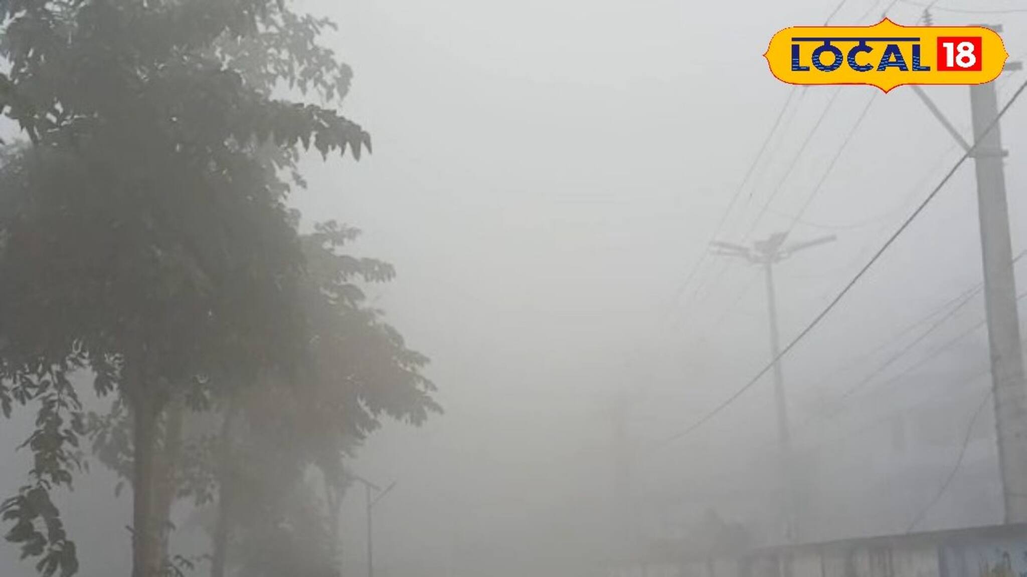Cold Wave Alert: ঘন কুয়াশার চাদরে মুড়ে জেলার পর জেলা, শৈত্যপ্রবাহ থেকে মুক্তি নেই, ঝপাঝপ নামছে তাপমাত্রা