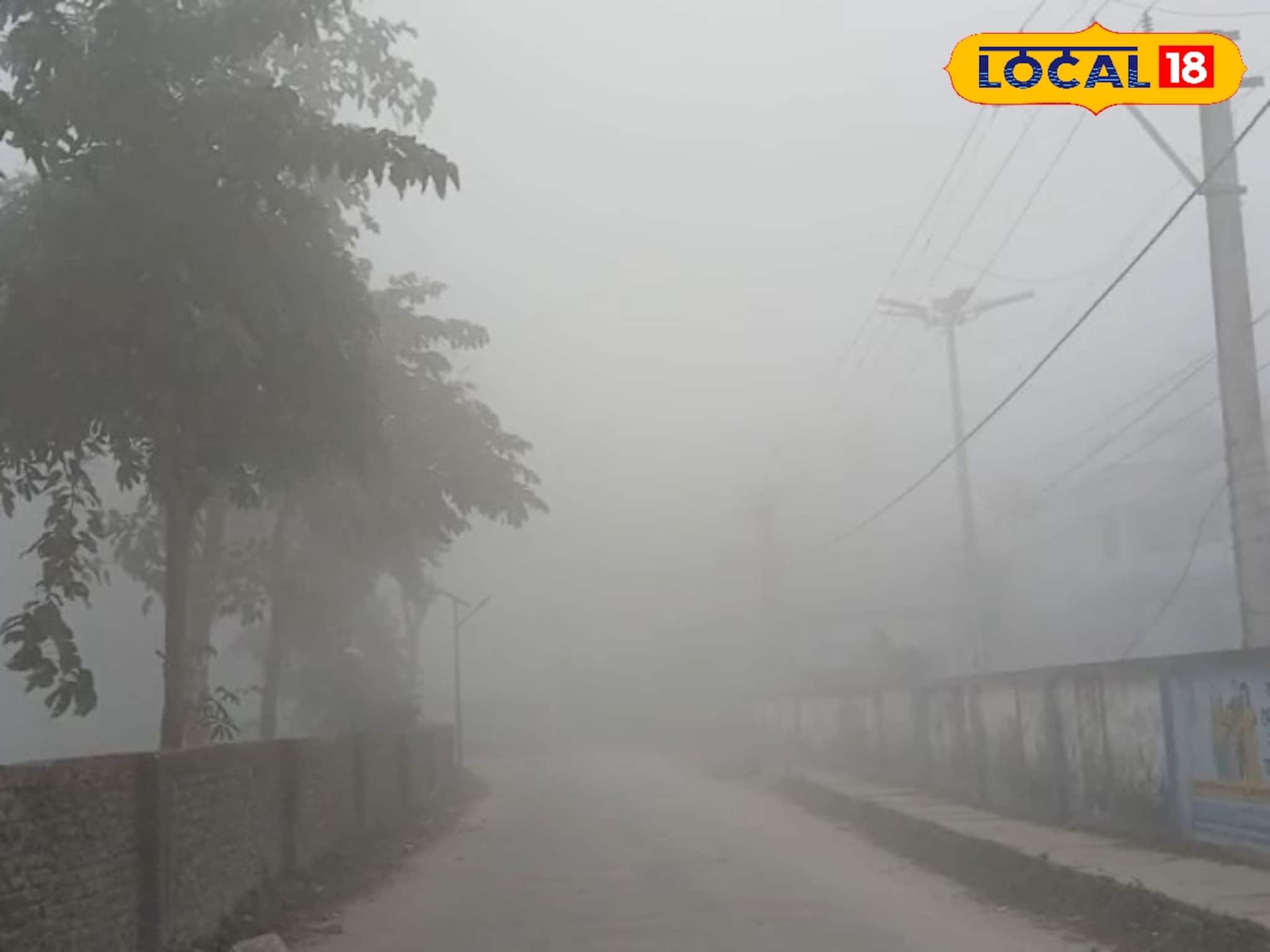 ঘন কুয়াশার চাদরে মুড়ে জেলার পর জেলা, শৈত্যপ্রবাহ থেকে মুক্তি নেই, ঝপাঝপ নামছে তাপমাত্রা