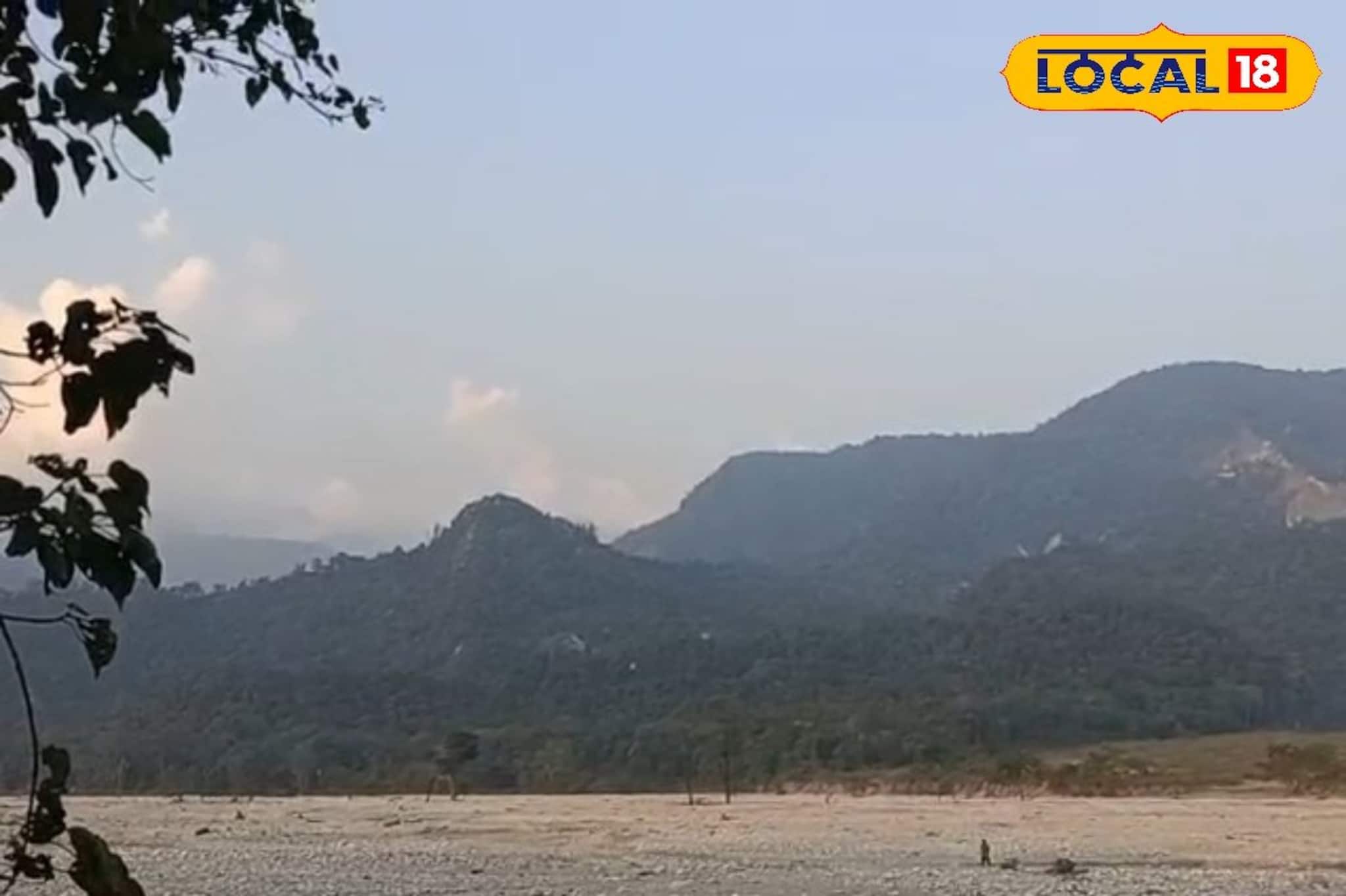 শীতের মরশুমে বক্সা জঙ্গলে ঘুরতে যেতে চান? কোন রুটে কীভাবে যাবেন, কত খরচ? জানুন বিস্তারিত