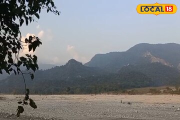 শীতের মরশুমে বক্সা জঙ্গলে ঘুরতে যেতে চান? কোন রুটে কীভাবে যাবেন, কত খরচ? জানুন বিস্তারিত