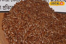 Hair Care Tips: পার্লারের ট্রিটমেন্ট ভুলে যান! তিসির বীজের ম্যাজিকেই হবে লম্বা ও সিল্কি চুল, জানুন ব্যবহারের সঠিক নিয়ম