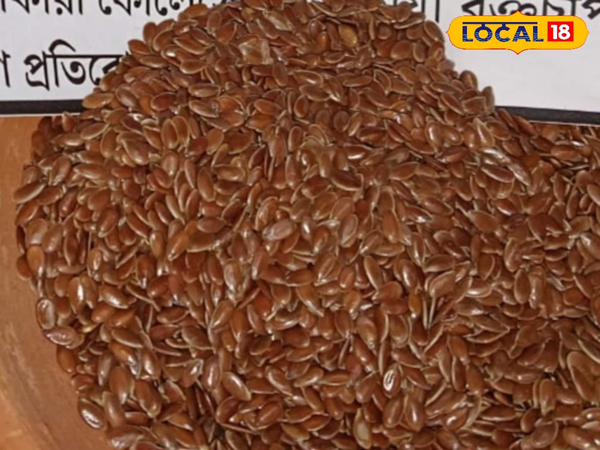 পার্লারের ট্রিটমেন্ট ভুলে যান! তিসির বীজের ম্যাজিকেই হবে লম্বা ও সিল্কি চুল পার্লারের ট্রিটমেন্ট ভুলে যান! তিসির বীজের ম্যাজিকেই হবে লম্বা ও সিল্কি চুল