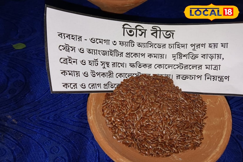 আজকাল মানুষ স্বাস্থ্য বা সৌন্দর্যের জন্য প্রাকৃতিক জিনিস বেশি ব্যবহার করতে শুরু করেছে । বিশেষত যখন চুলের কথা আসে অনেকগুলি ঘরোয়া প্রতিকার চেষ্টা করে । চুল আমাদের সৌন্দর্য বাড়ায়। বিভিন্ন কারণে এই ক্ষয়ক্ষতি নিষ্প্রাণ হয়ে পড়ে এবং ভাঙতে শুরু করে। এমন পরিস্থিতিতে আপনার চুলকে প্রাকৃতিকভাবে সুন্দর করতে ব্যবহার করতে পারেন তিসির বীজ। আজকাল মানুষ স্বাস্থ্য বা সৌন্দর্যের জন্য প্রাকৃতিক জিনিস বেশি ব্যবহার করতে শুরু করেছে । বিশেষত যখন চুলের কথা আসে অনেকগুলি ঘরোয়া প্রতিকার চেষ্টা করে । চুল আমাদের সৌন্দর্য বাড়ায়। বিভিন্ন কারণে এই ক্ষয়ক্ষতি নিষ্প্রাণ হয়ে পড়ে এবং ভাঙতে শুরু করে। এমন পরিস্থিতিতে আপনার চুলকে প্রাকৃতিকভাবে সুন্দর করতে ব্যবহার করতে পারেন তিসির বীজ।
